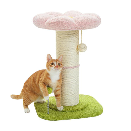 PAWZ Road 23.6-Inch Flower Cat Scratching Post, Cat Scratcher for Indoor Cats with Thick Scratching Post [Dia=5.5 Inches]